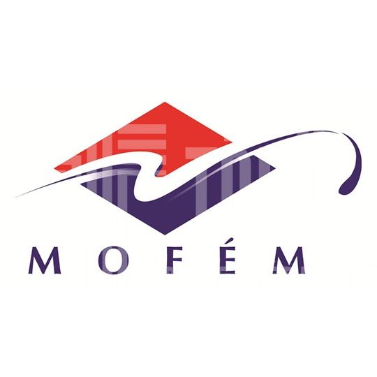 MOFÉM zuhany-szett Basic fali rúddal - Image 3